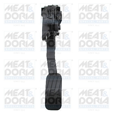 Accelerator Pedal Unit